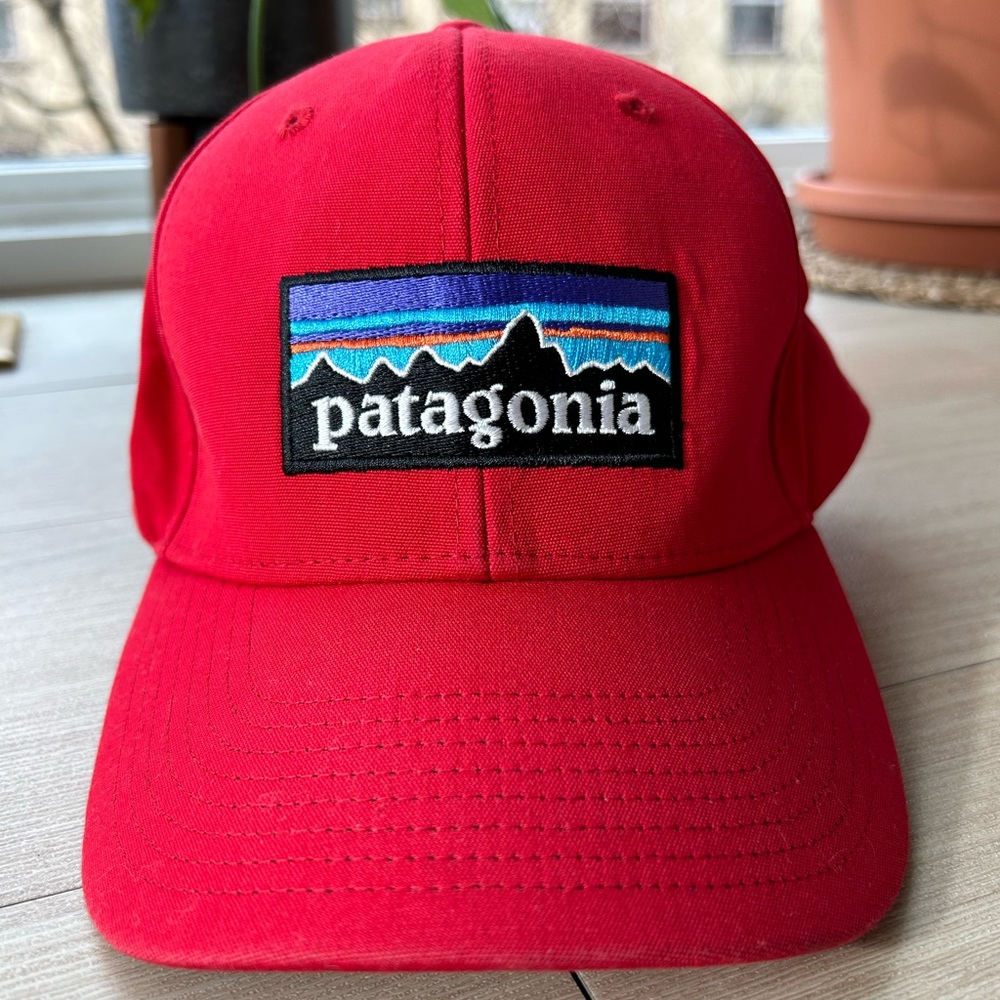 Patagonia Baseball Hat